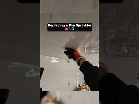 Kord Fire Protection sprinkler replacement short-form video